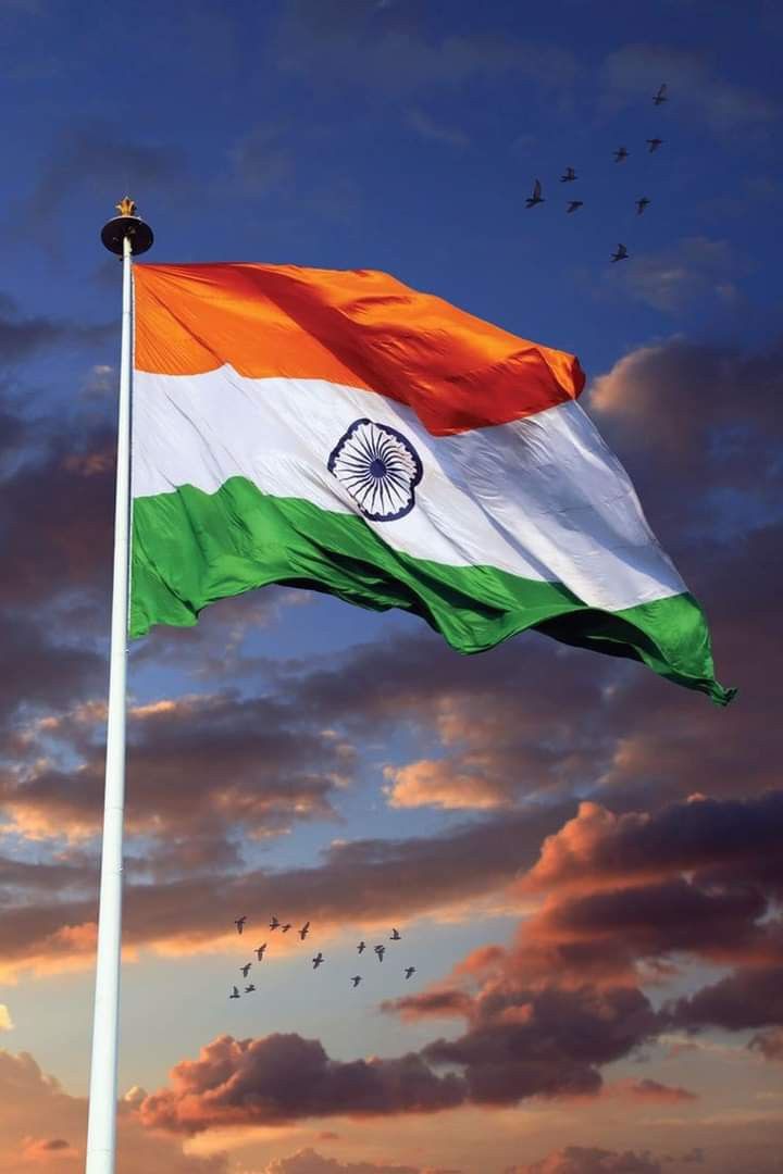 Indian Flag DP