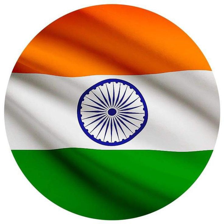 Indian Flag DP