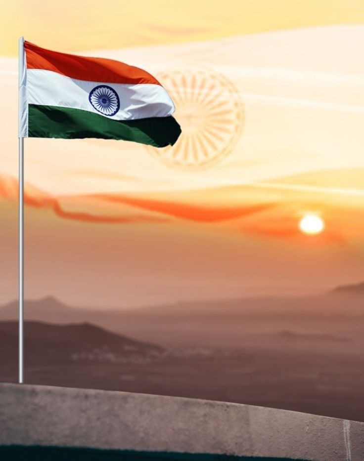 Indian Flag DP