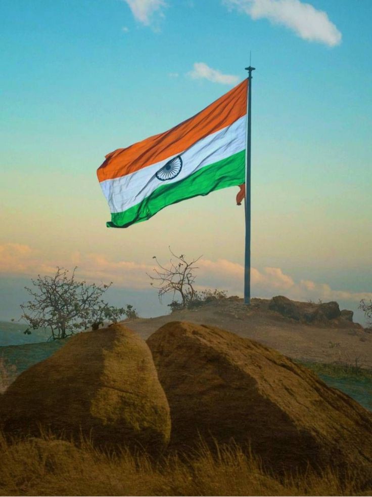 Indian Flag DP