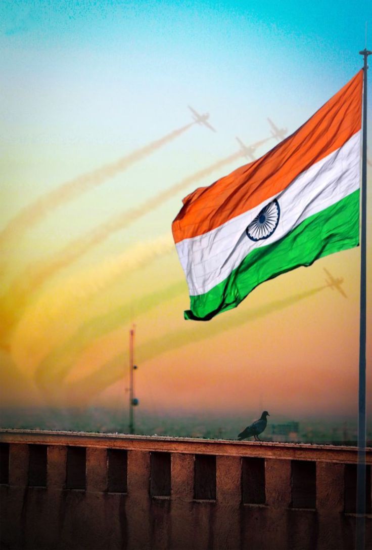 Indian Flag DP