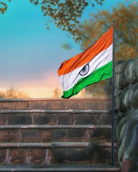 Indian Flag DP