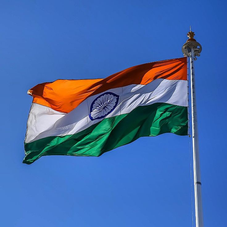 Indian Flag DP