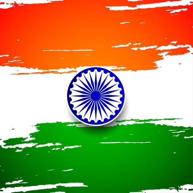 Indian Flag DP