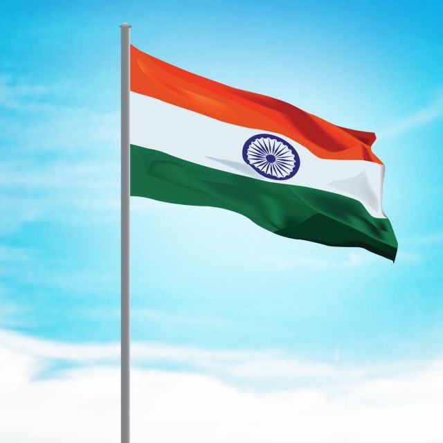 Indian Flag DP