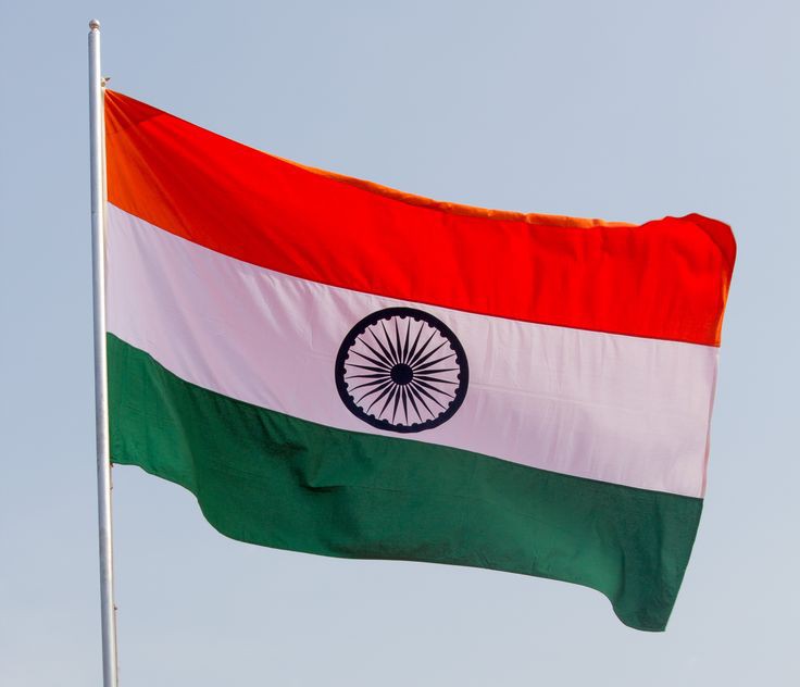 Indian Flag DP