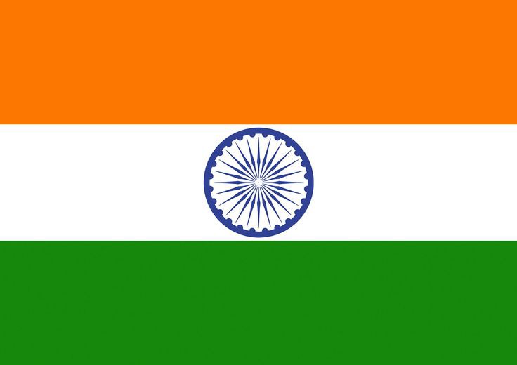 Indian Flag DP