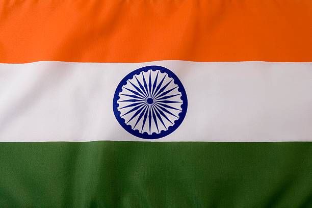 Indian Flag DP