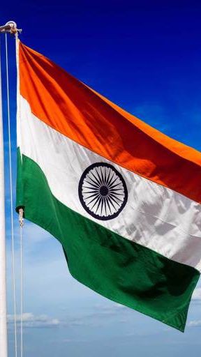 Indian Flag DP