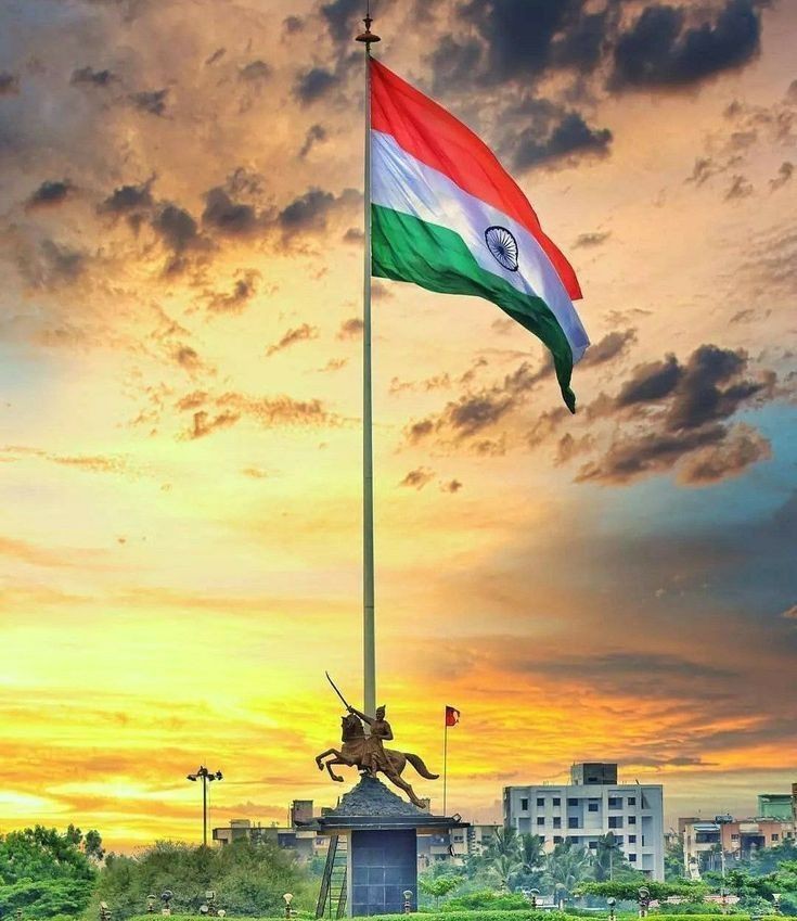 Indian Flag DP