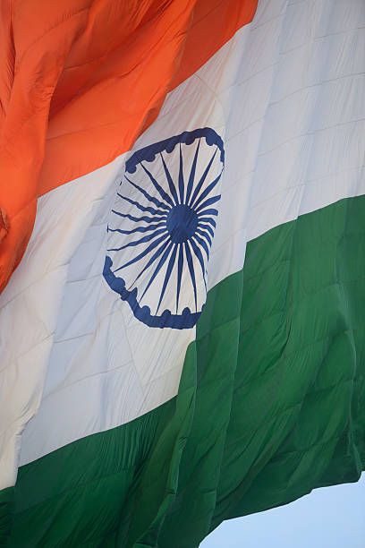 Indian Flag DP