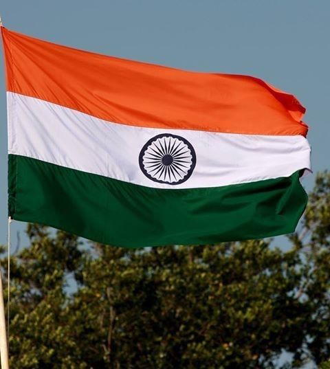 Indian Flag DP