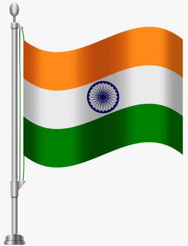 Indian Flag DP