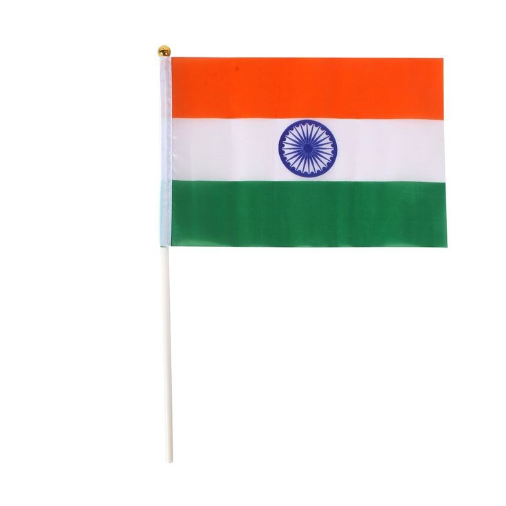 Indian Flag DP