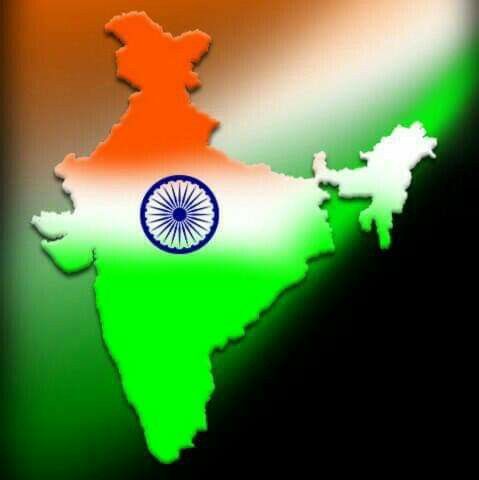 Indian Flag DP