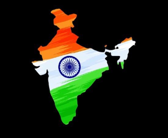 Indian Flag DP