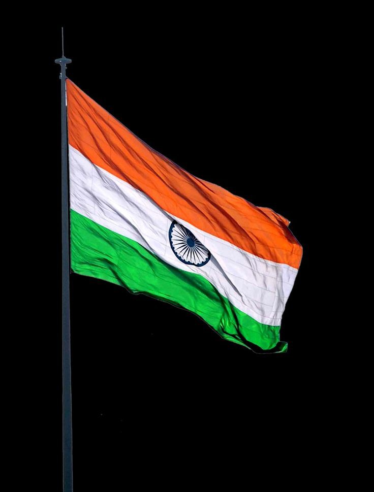 Indian Flag DP