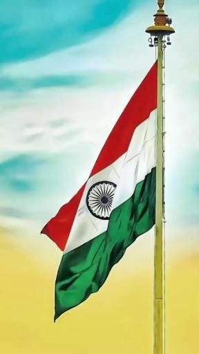 Indian Flag DP