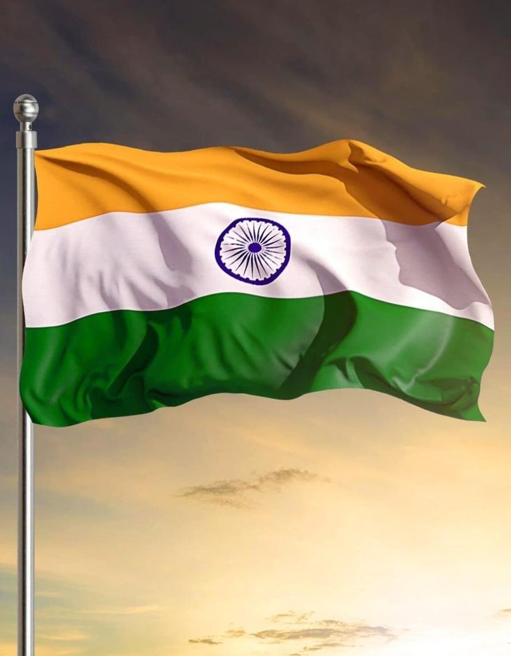 Indian Flag DP