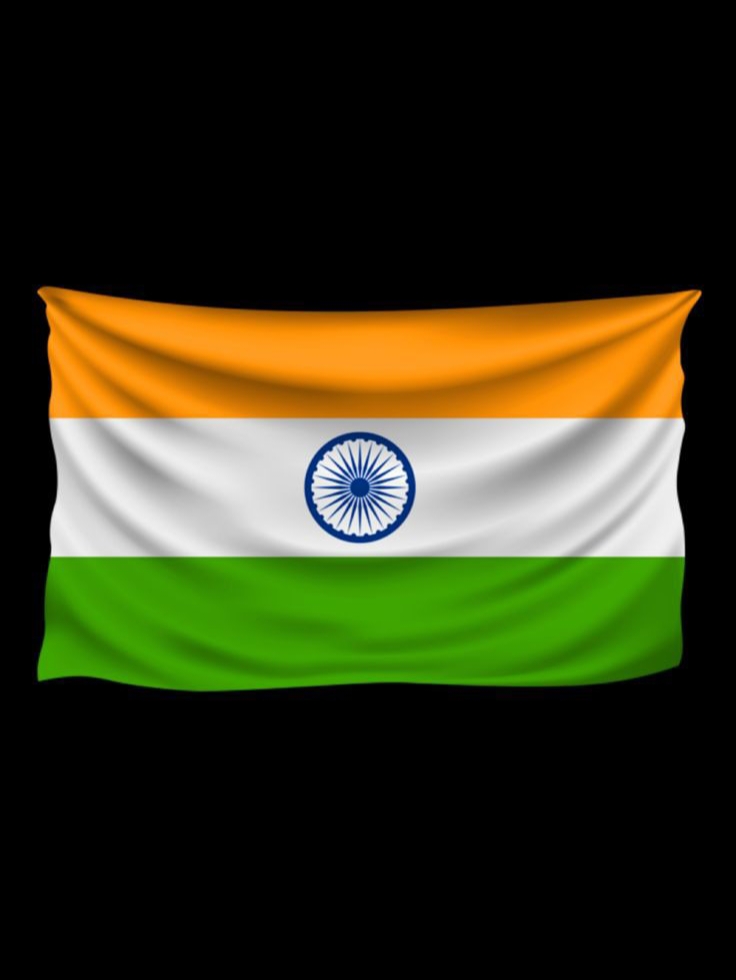 Indian Flag DP