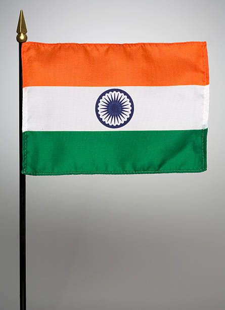 Indian Flag DP