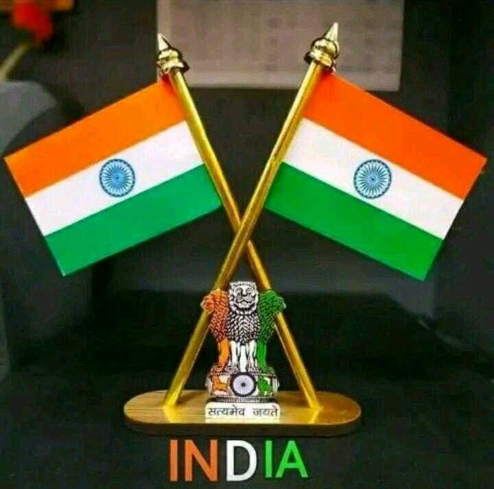 Indian Flag DP