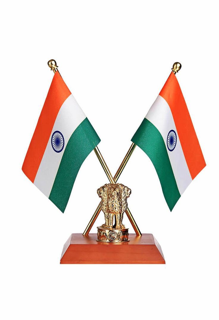 Indian Flag DP