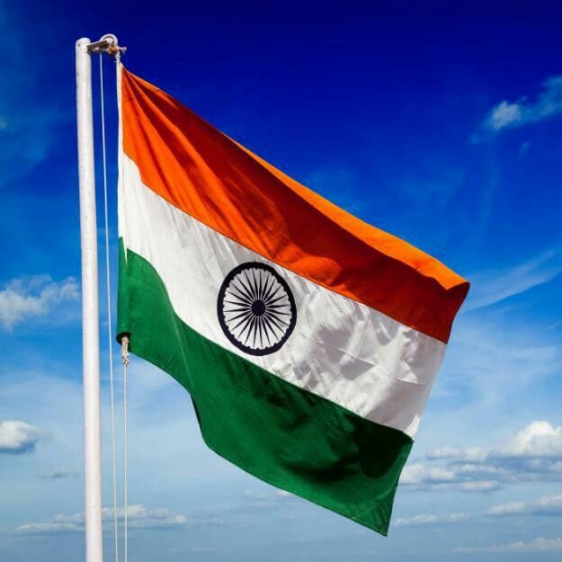 Indian Flag DP