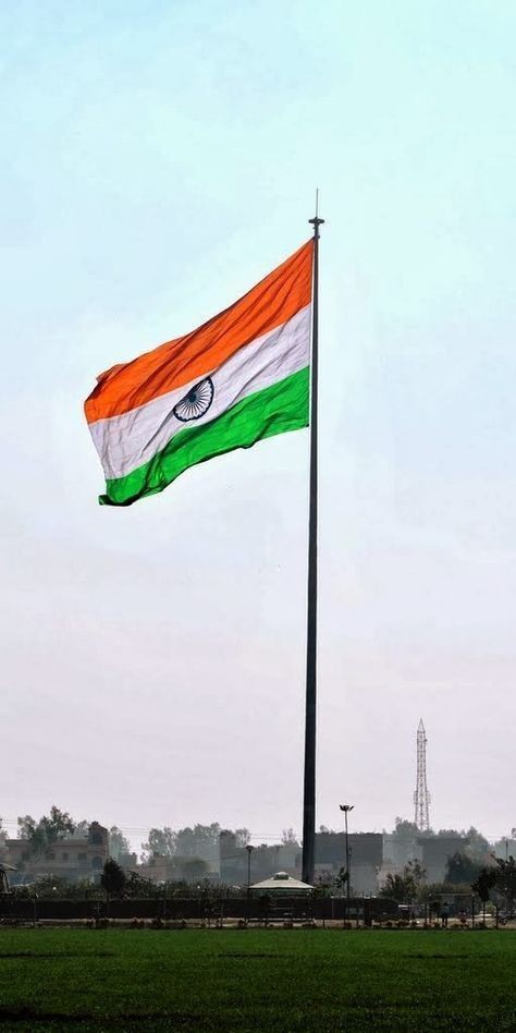 Indian Flag DP