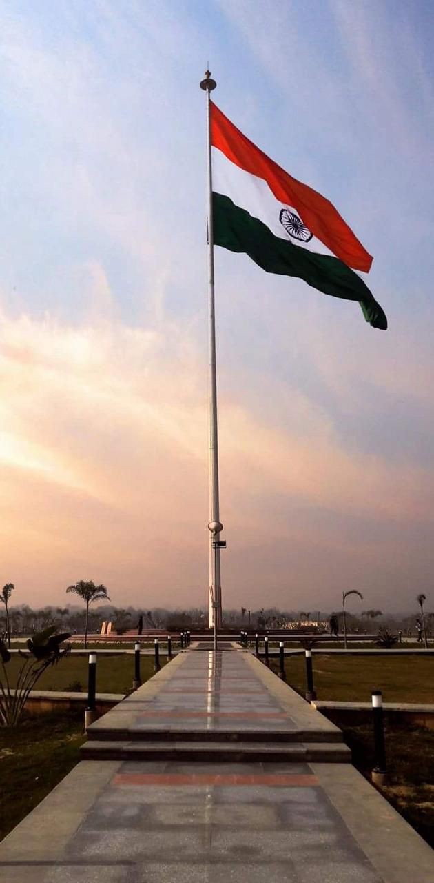 Indian Flag DP