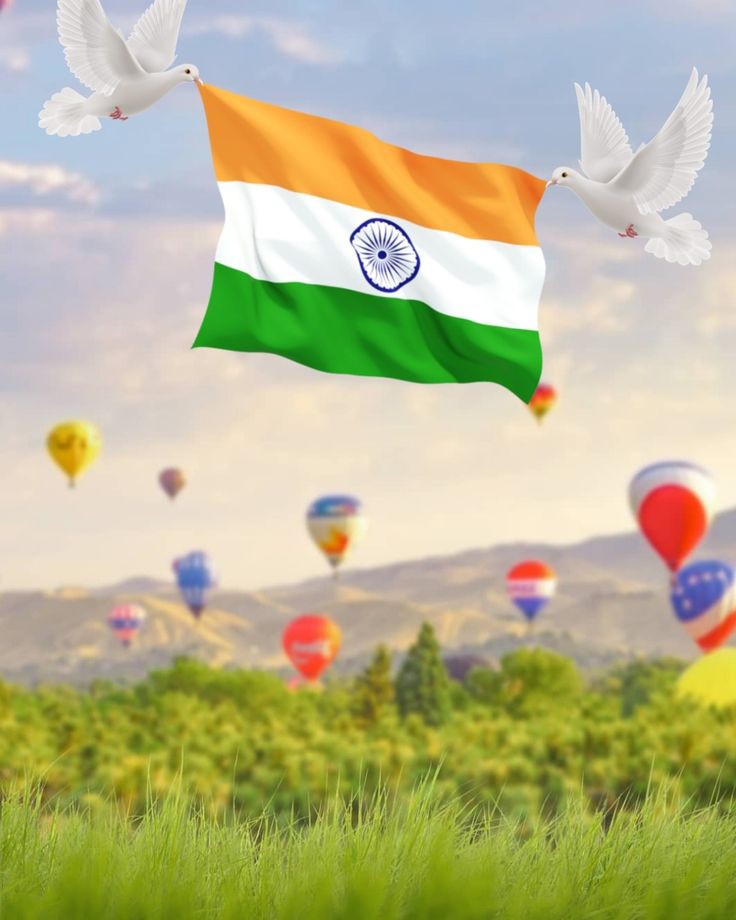 Indian Flag DP