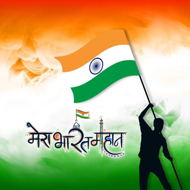 Indian Flag DP