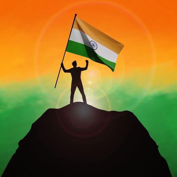 Indian Flag DP