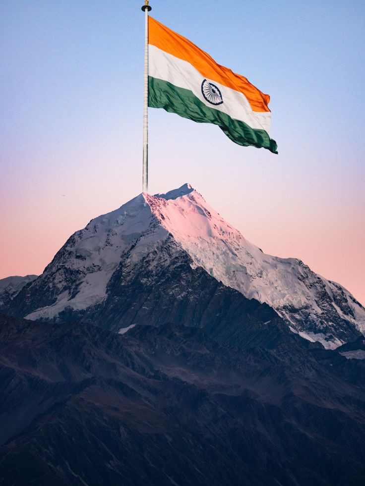 Indian Flag DP