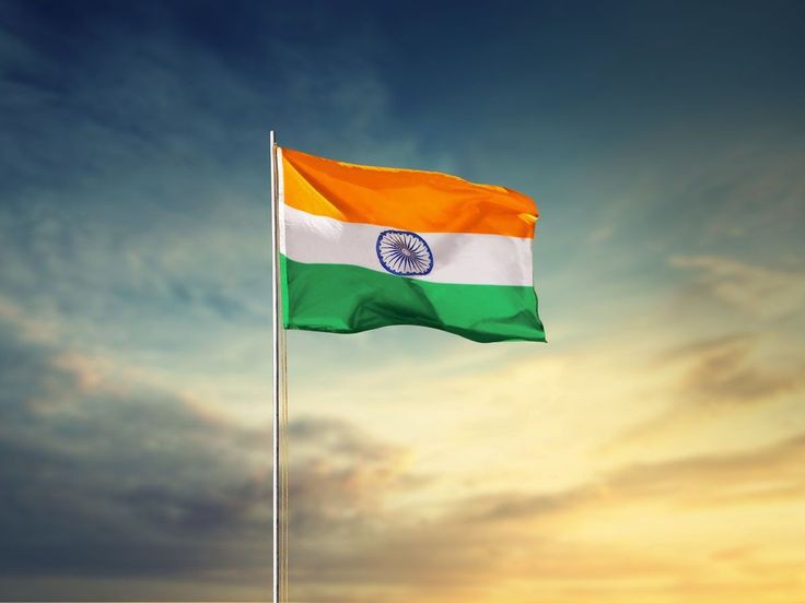 Indian Flag DP