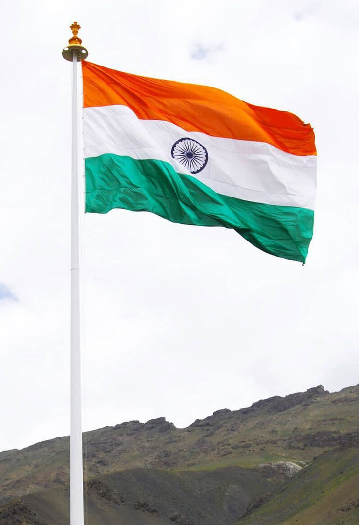 Indian Flag DP