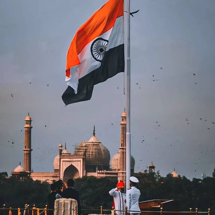 Indian Flag DP