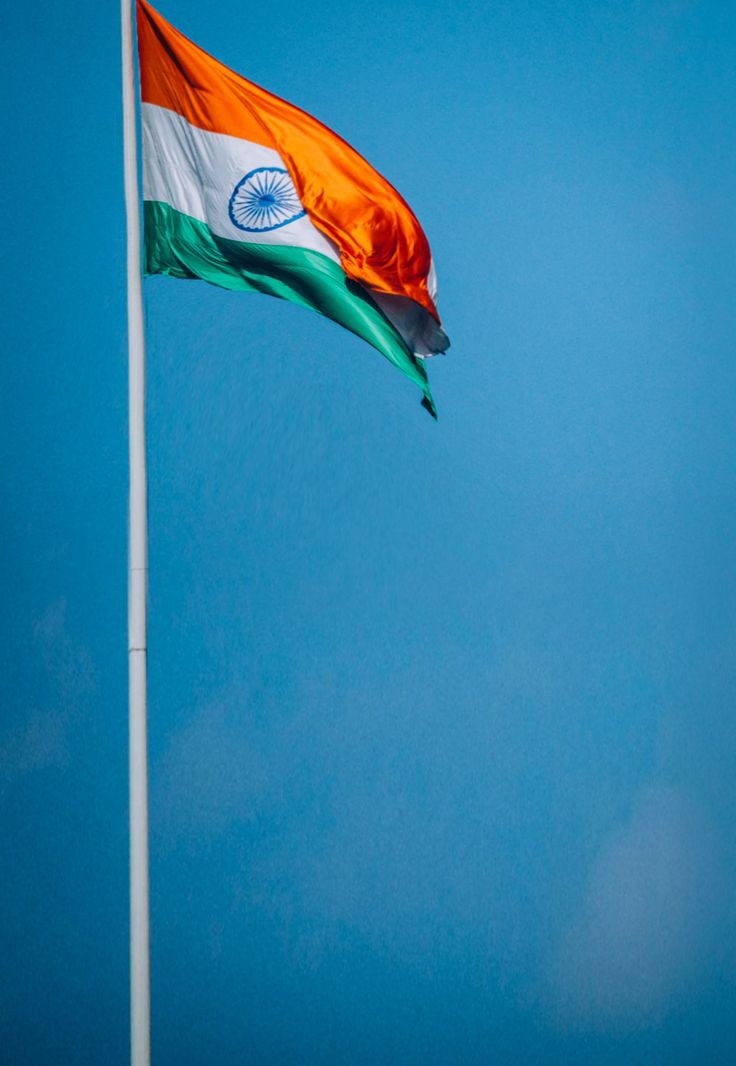 Indian Flag DP