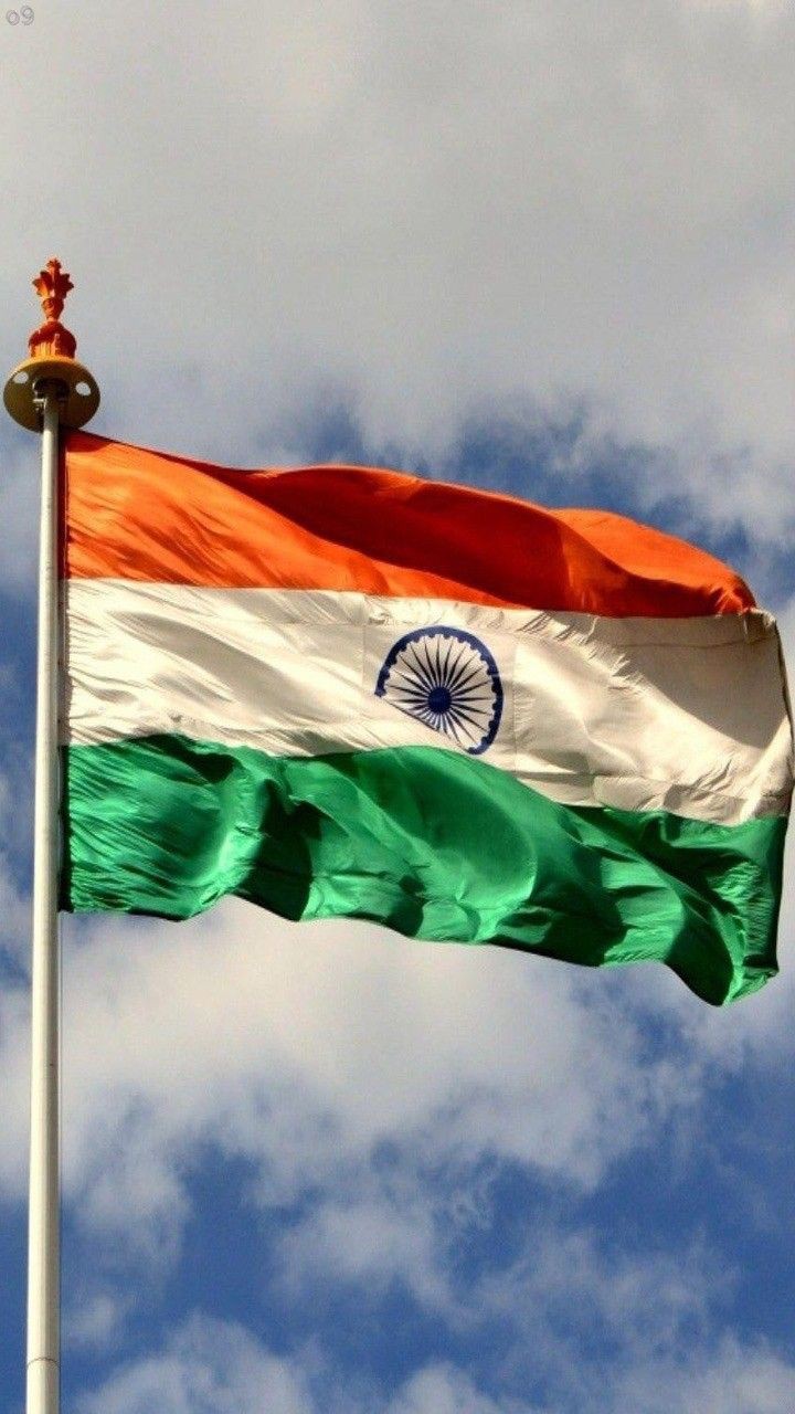 Indian Flag DP