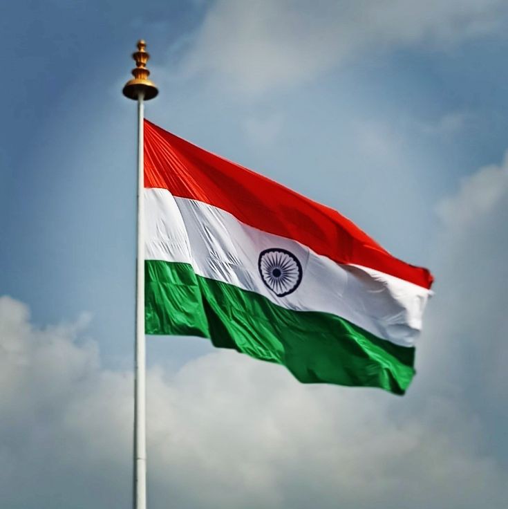 Indian Flag DP