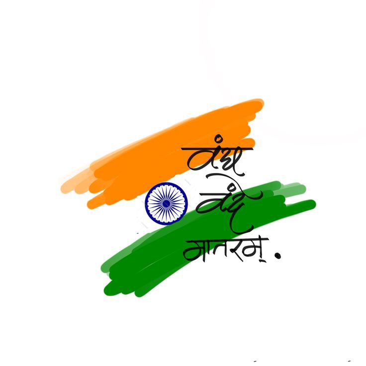 Indian Flag DP