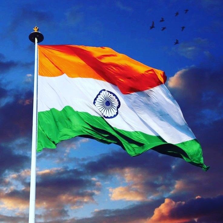 Indian Flag DP