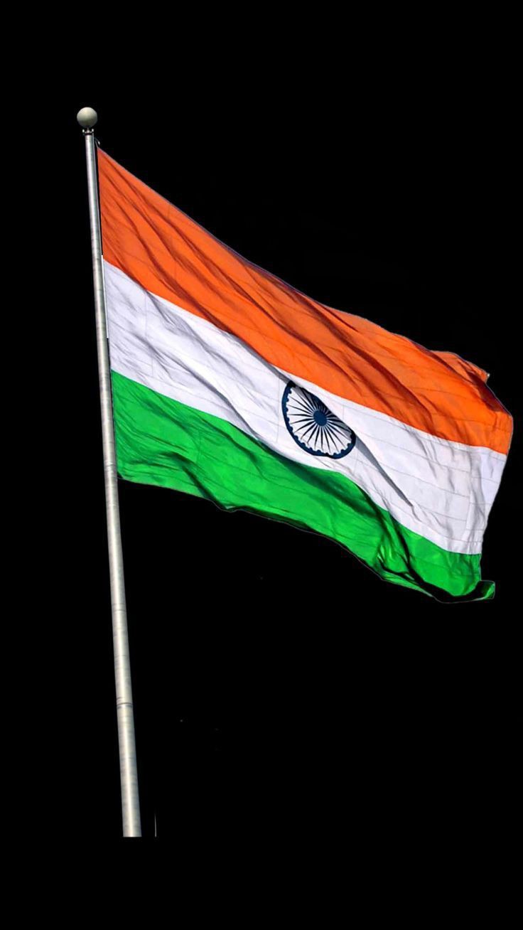 Indian Flag DP