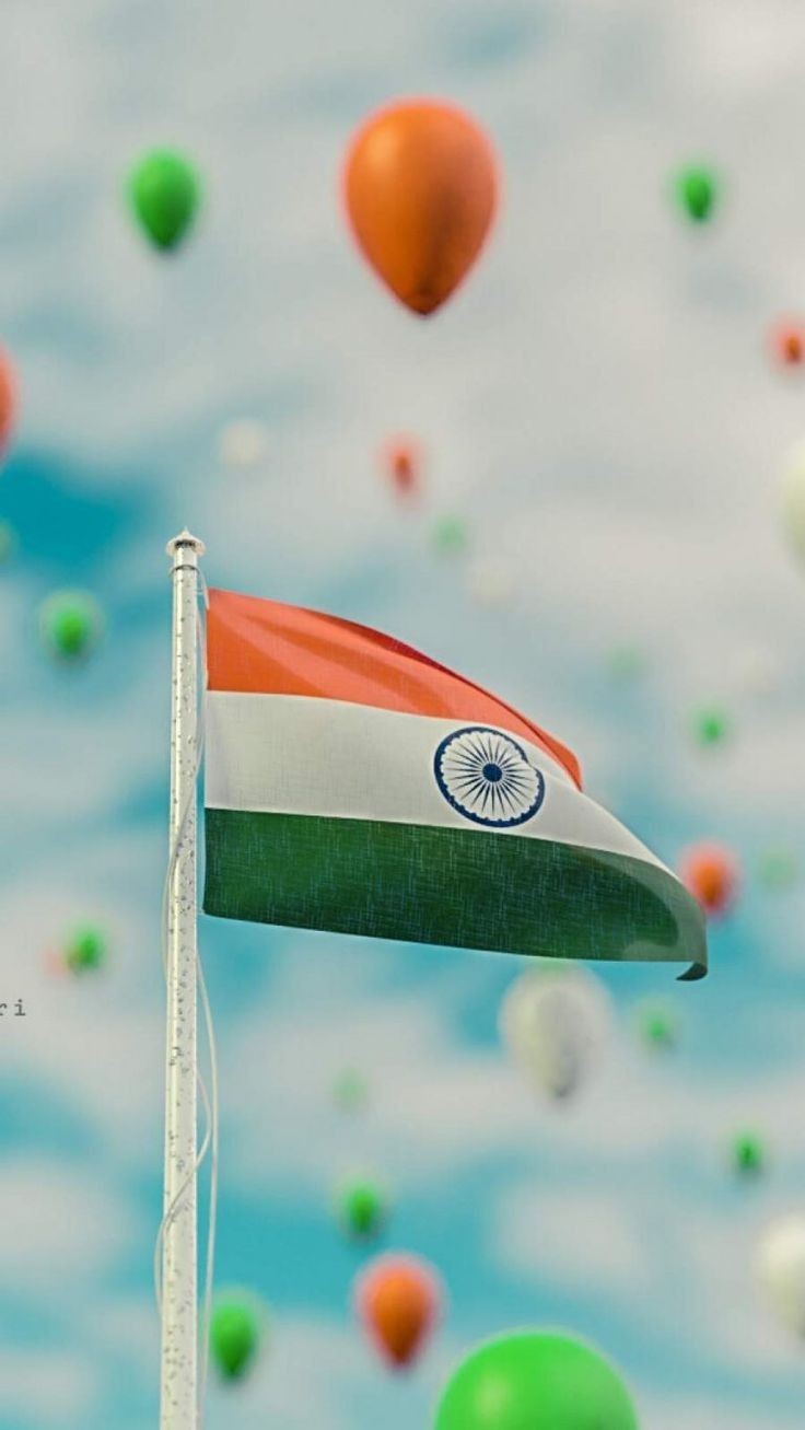 Indian Flag DP