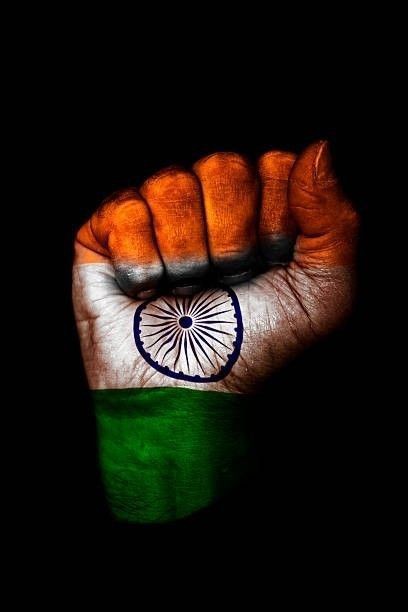 Indian Flag DP