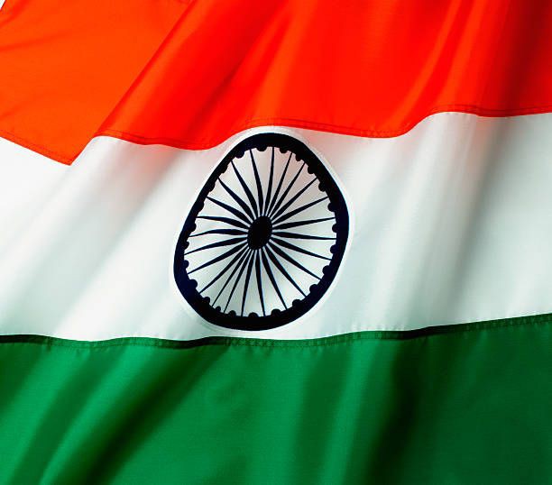 Indian Flag DP