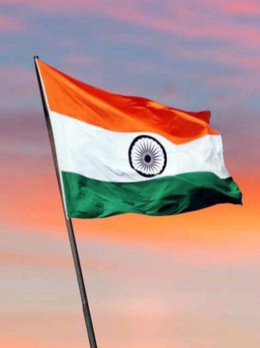 Indian Flag DP