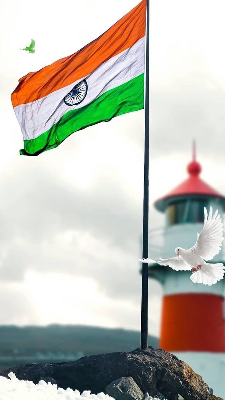 Indian Flag DP