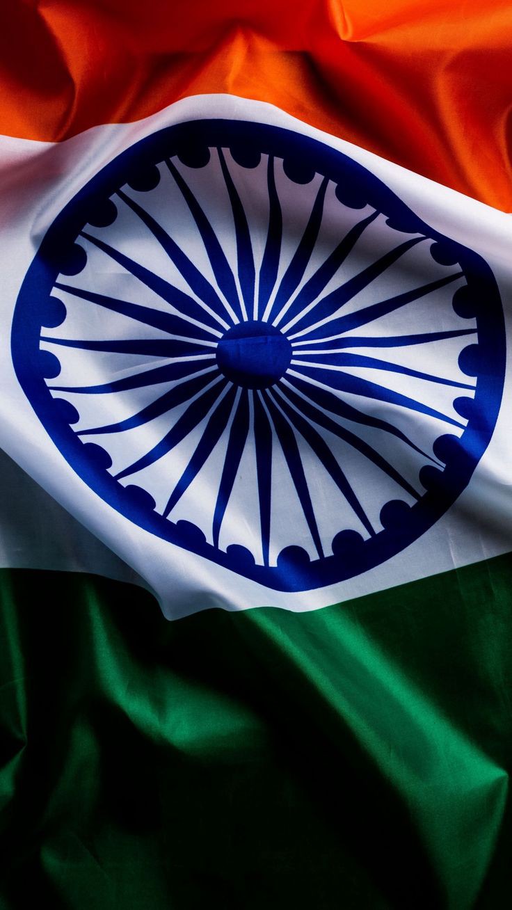 Indian Flag DP