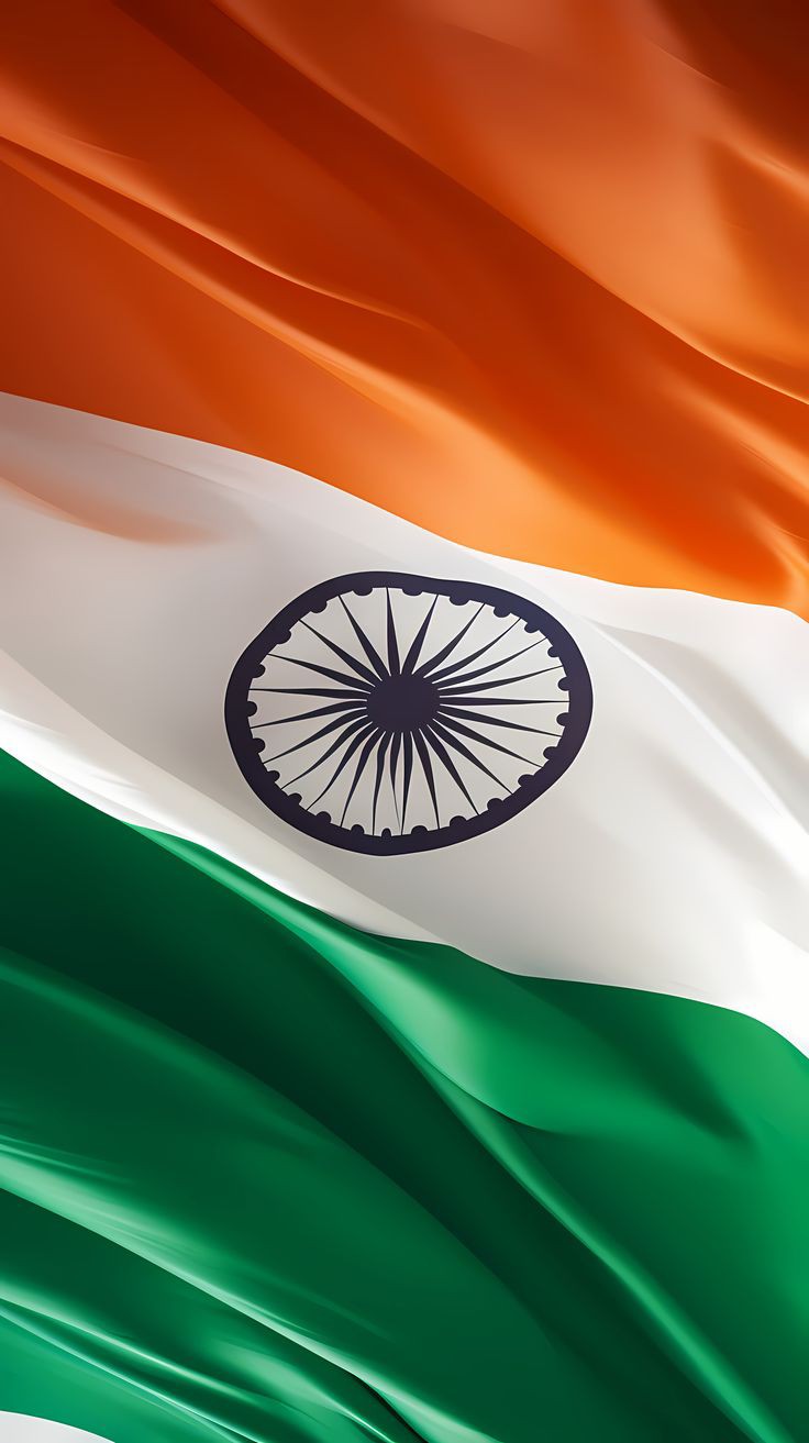 Indian Flag DP